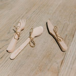 Biodegradable disposables